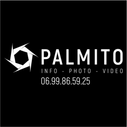 palmito